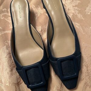 Ann Taylor Dark Blue Mules with Buckle
